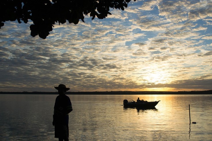 fishing-2038938_960_720